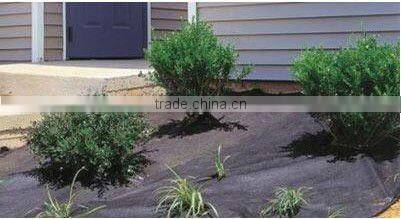 Agricultural 100% PP Black Ground Cover/Agriculture 100% pp non woven crop cover ground cover