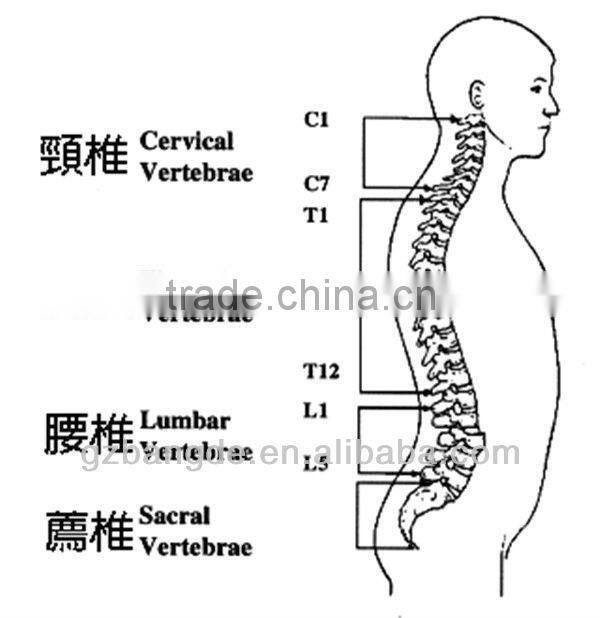 Professional medical therapy chiropractic adjusting instrument massager BD-M005