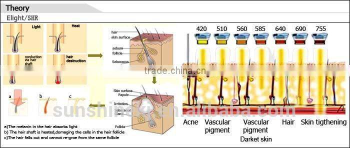 2 in 1 portable two handles CE approved ipl shr germany for hair removal with 2 years warranty