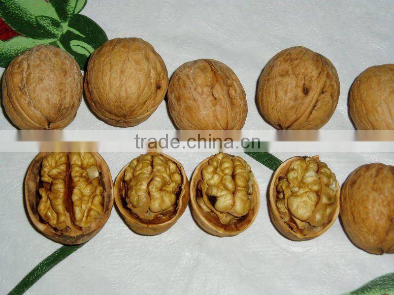 Chinese walnuts in Shell
