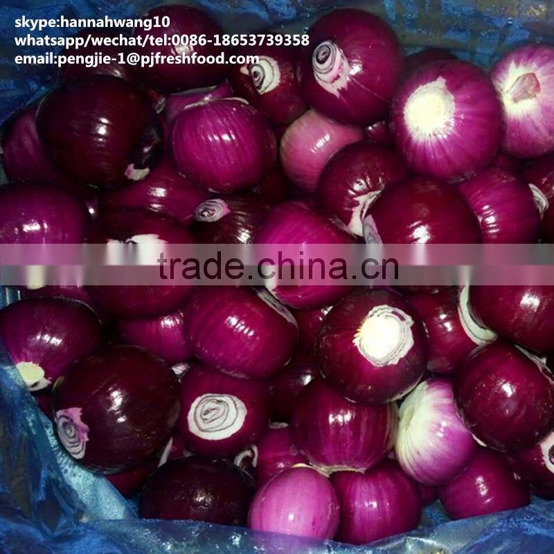 2016 new crop fresh peeled onion