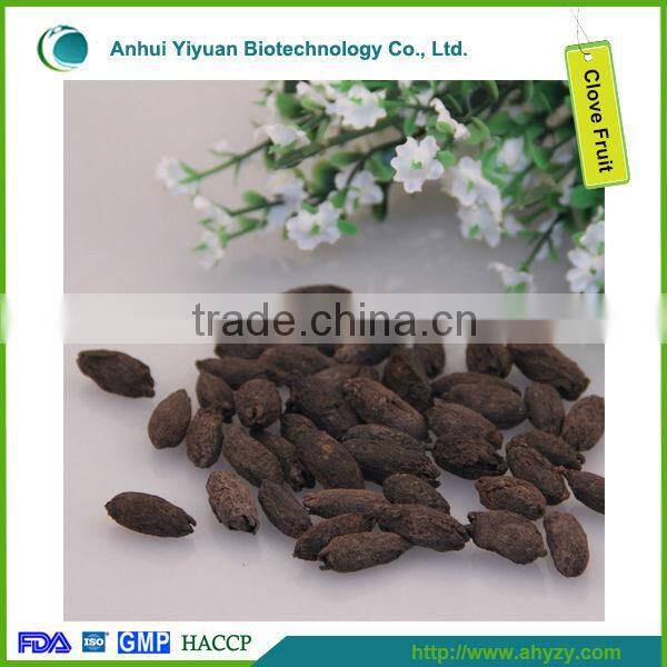 Spice Bulk Raw Clove Fruit