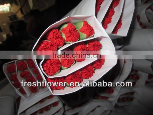 fresh cut red carnation for Mother's day