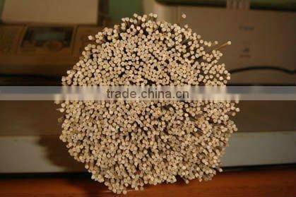 High quality Bamboo Stick for making Agarbatti (july.etop@exporttop.com)