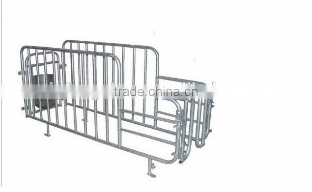 Pig Galvanized Equipment Pig Gestation Stall