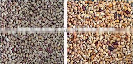 Belt Model Mung Bean Color Sorter Machine with Nikon Lens 0086 371 65866393