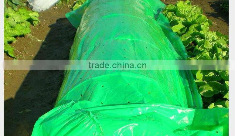 qingdao high quality PE tube flm for plantation