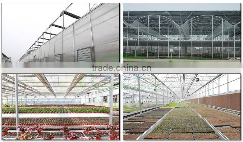 Commercial polycarbonate hollow sheet greenhouse