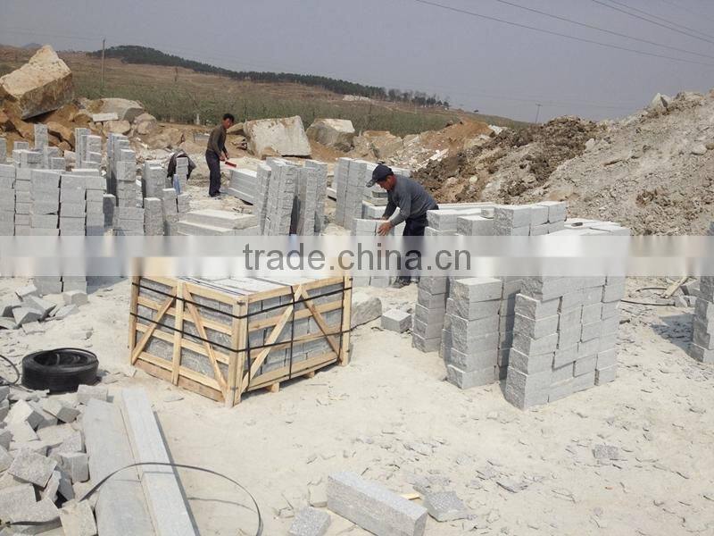 China Cheap Grey granite Pavement