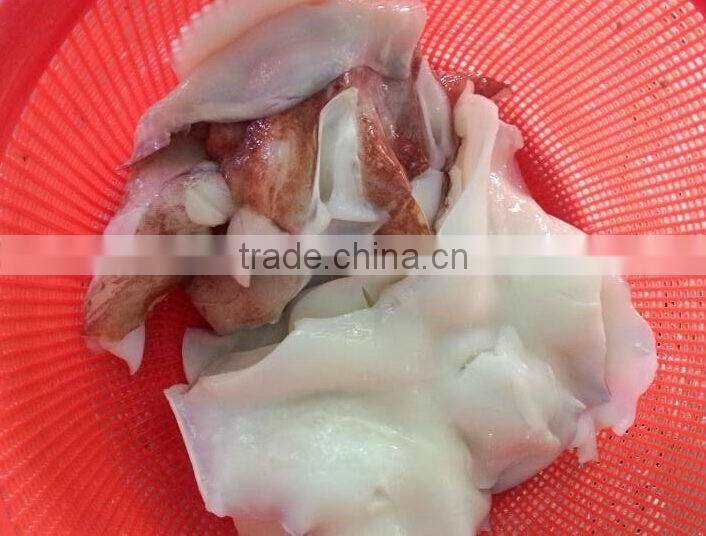 Good Quality Seafood Frozen Giant Squid Neck