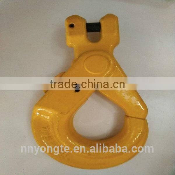 G80 European Type Clevis Self-Locking Crane Hook