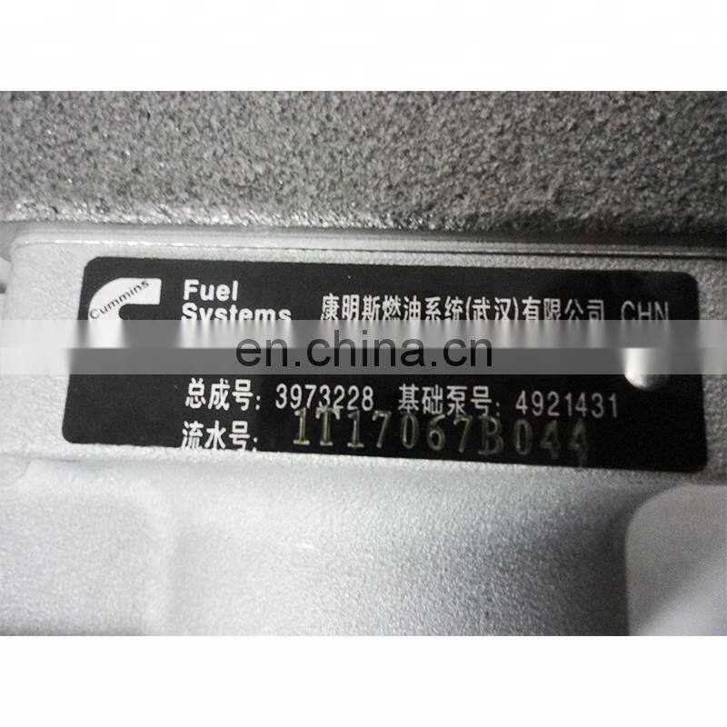 DCEC Diesel Engine ISLe8.9 Electric Fuel Pump 3973228 , High Pressure Fuel Injection Pump