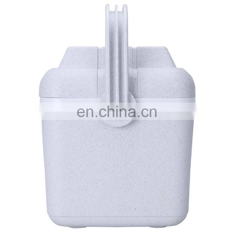 8L Hot Selling Thermal Cheap Small EPS Foam Portable Ice Chest Cooler Box