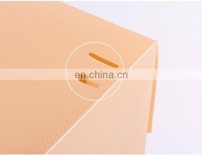 stackable Magnetic Clear Shoe Box Storage