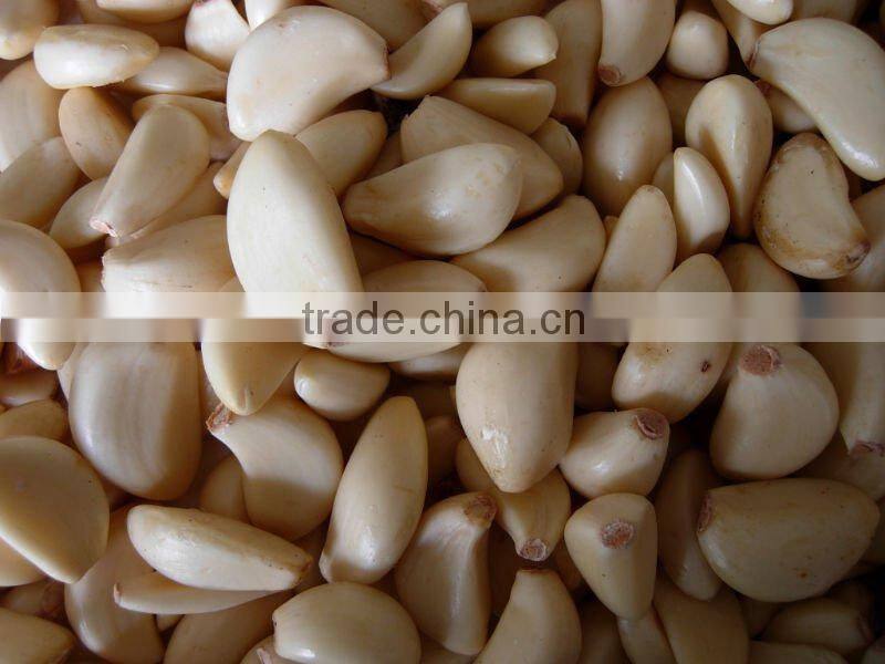 Garlic Peeling Machine/Fruit peeling machine