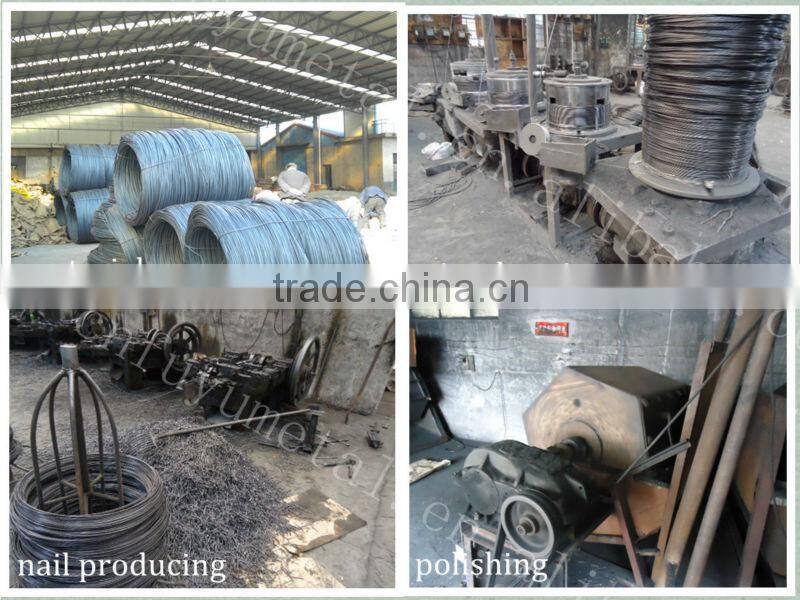 Galvanized Common Nails/Common Wire Nails/Poloshed Iron Nails