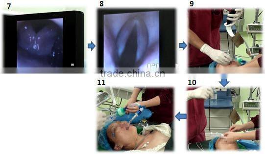 Little animal gastroscope bronchoscope3.8mm portable flexible reusable video veterinary endoscope