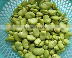 Broad Bean Halves Color Sorting