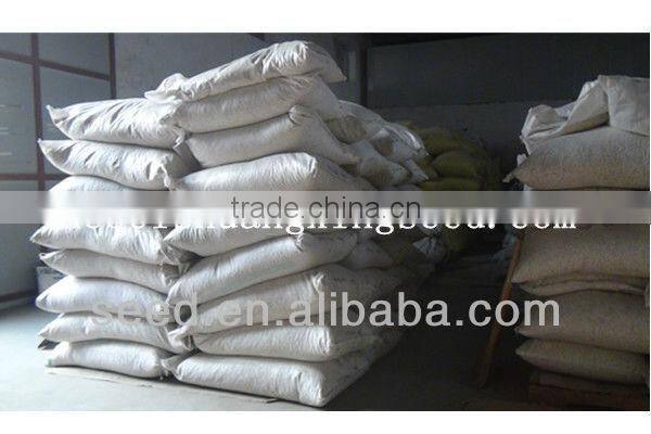 M11-03--planting sweet melon hybrid seed f1