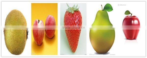 Fresh fruit juice processing line from Better Industry