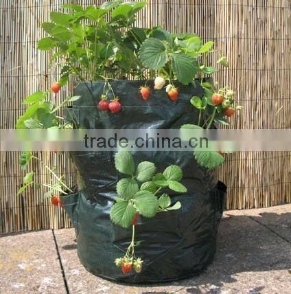 8 Pocket Strawberry Planter Bag,Strawberry Growing Planting Bag,Strawberry Planter