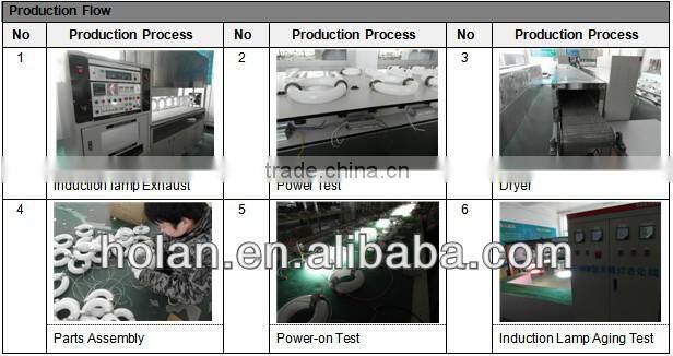 induction street light luminaires