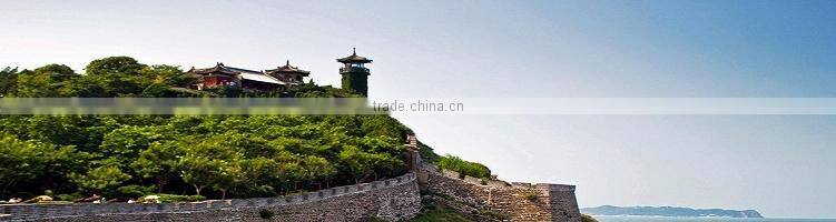 100% pp woven cheap 1 ton top skirt bulk bag factory in shandong