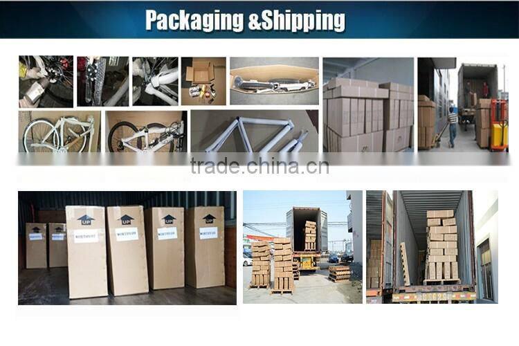 China 2015 hot new cheap urban bike high quality 26'' retro city bike with dynamo light