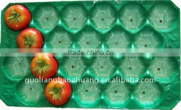 Green Packaging Insert