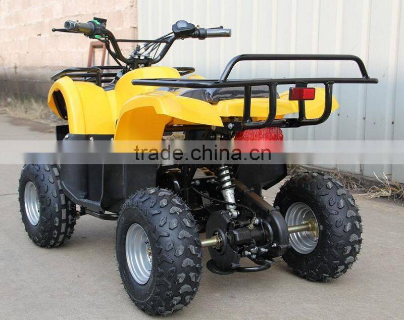 1000W Four Wheel Beach Buggy Amphibious Quad
