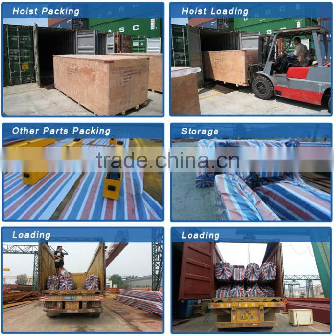 Widely Used Hoist Fitness with Continuous Work