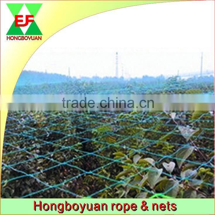 Best sale of hdpe new virgin capture bird nets