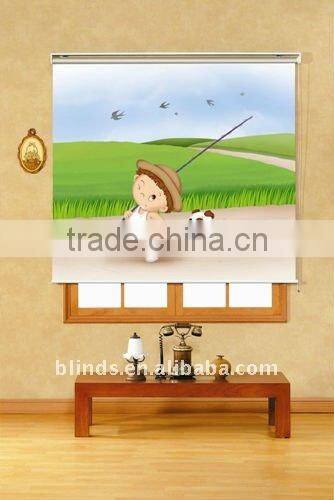 Printed Different Chain Operation Roller sunscreen Designed Window Blinds