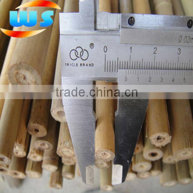 bamboo for planting 4'X12/14mm