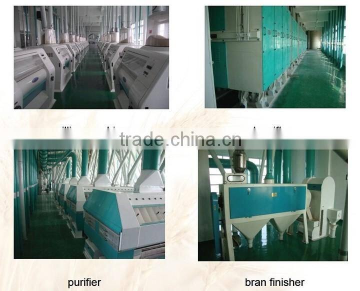 Small Scale 10 Ton Per Day Buckwheat Flour Milling Machine