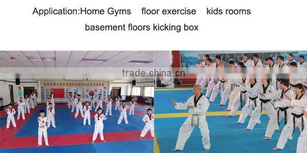 EVA Foam Martial Arts Mat Wrestling Tatami Mat