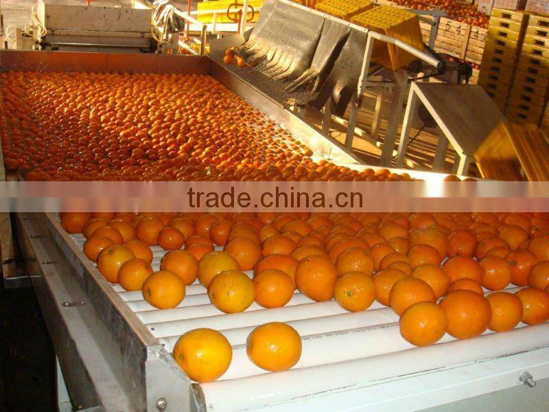 Chinese Neval Orange