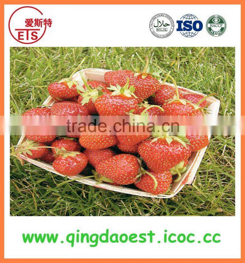 For sale Best quality Whole Fresh Strawberry