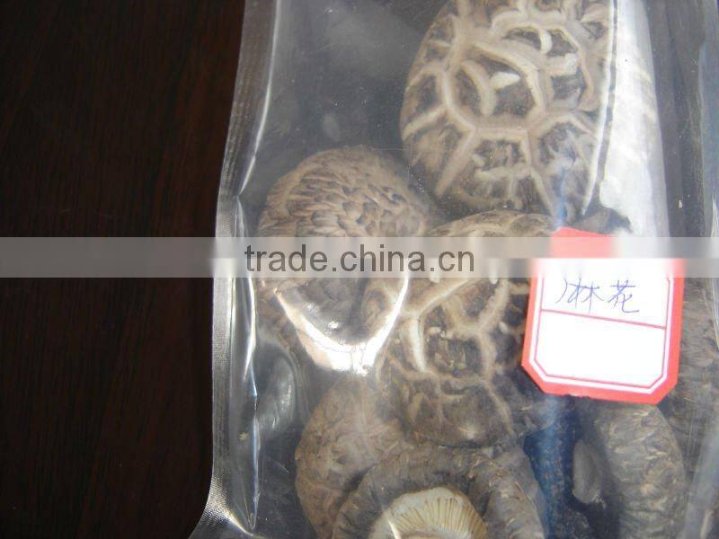 Chinese Cheap Dried Flower Mushroom