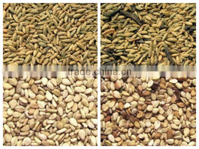intelligent color sorting machinery