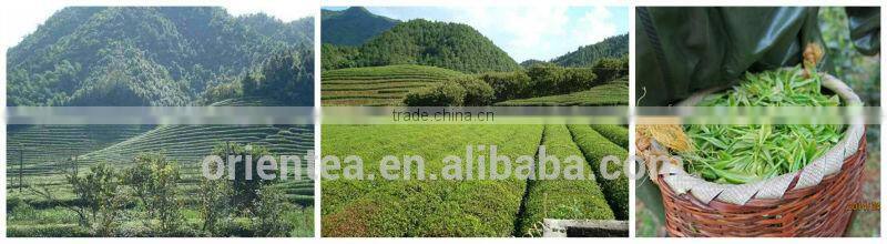 chinese organic green tea chunmee tea