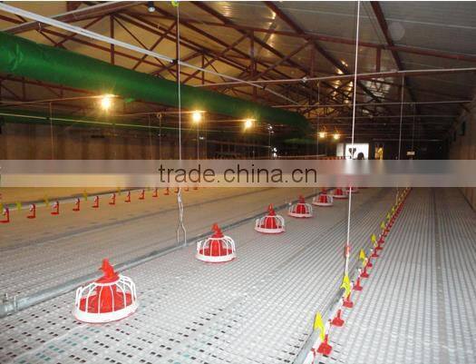Automatic Chicken Feeding System/Automatic Feeding System For Chicken