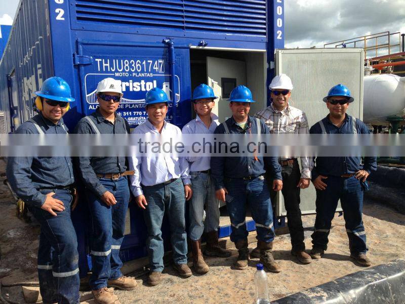 Camda Doosan Daewoo gas generator set 300KW/ gas power plant/MW natural gas genset