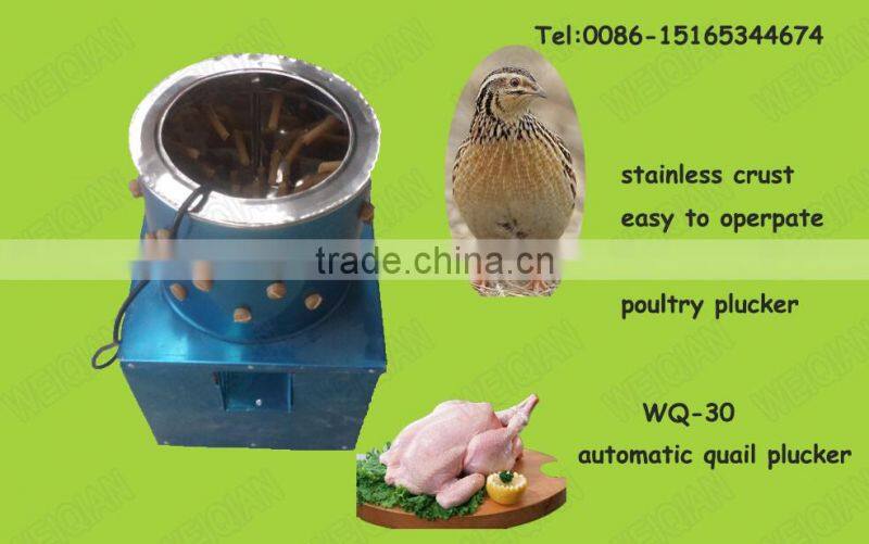 quail slaughtering machine for plucking for sale in America WQ-30