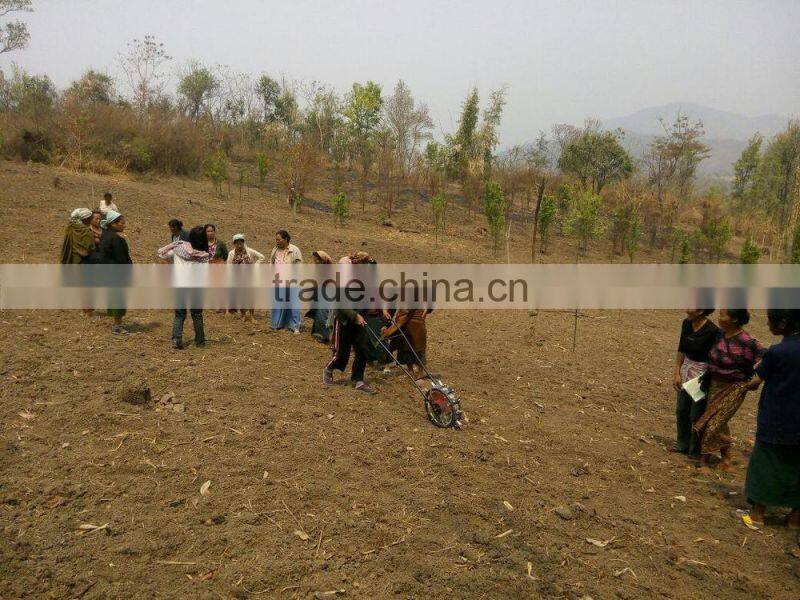 Factory hand corn seeder machine