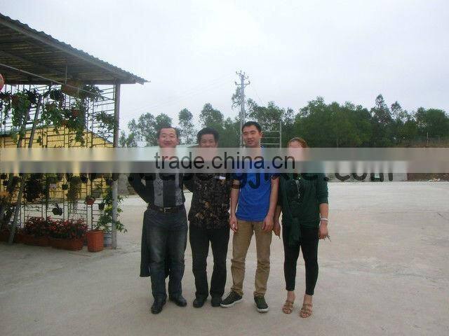 Tortillar chips production line/making machine