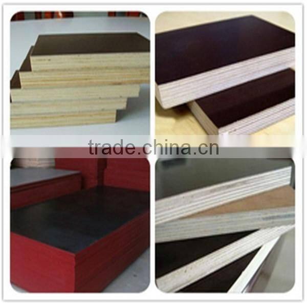 poplar waterproof marine plywood best price for construction