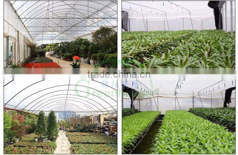 Plastic film greenhouse tunnel for sale
