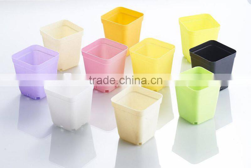 Plastic Colorful Small Square Flower Pots Without Pallet -3 inch