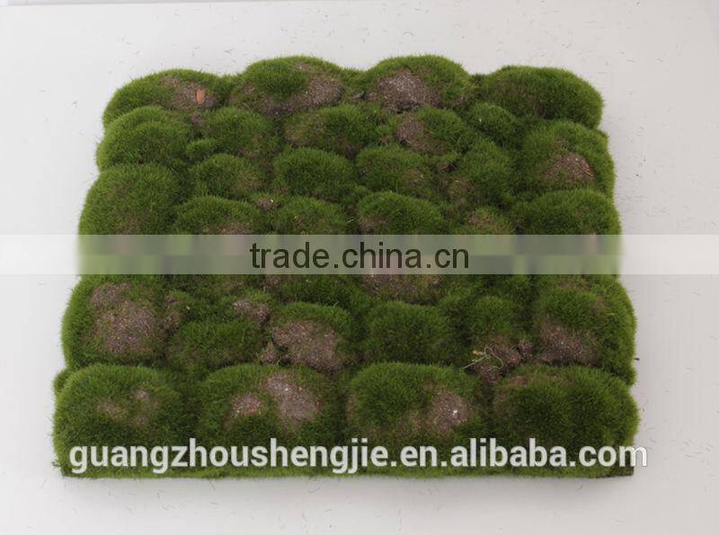 SJ3001106 Plastic cactus indoor outdoor potted plant tree